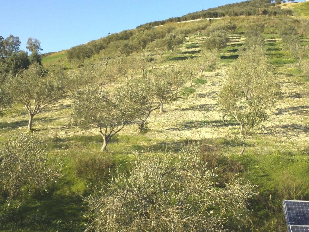 فيلا أغريجنتوفي Agriturismo Due Ganee المظهر الخارجي الصورة